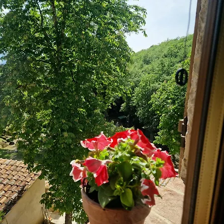 Apartment Molino Di Cogno