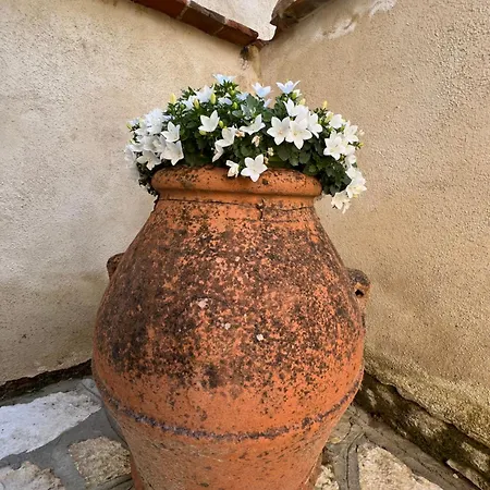 Apartment Molino Di Cogno