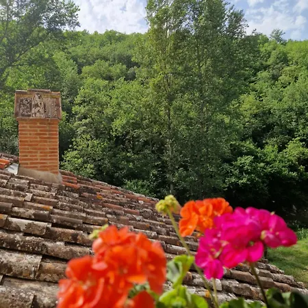 Molino Di Cogno