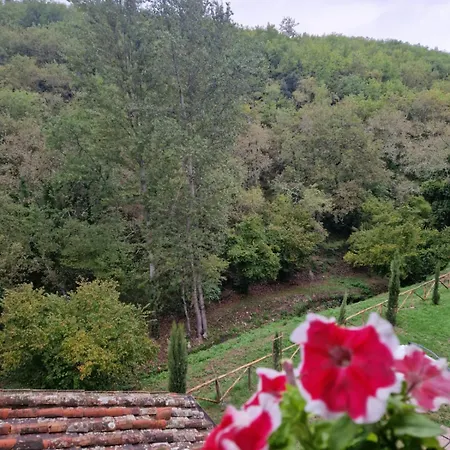 Apartment Molino Di Cogno *