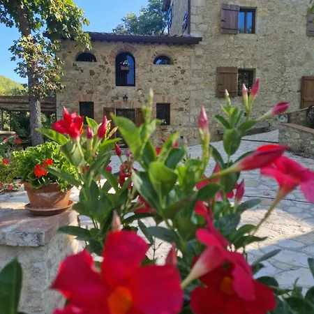 Molino Di Cogno Apartment