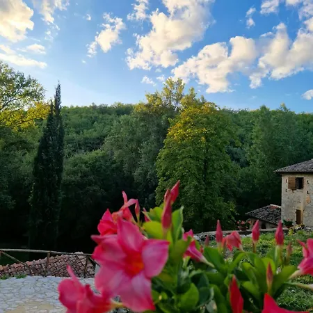 Molino Di Cogno Appartement