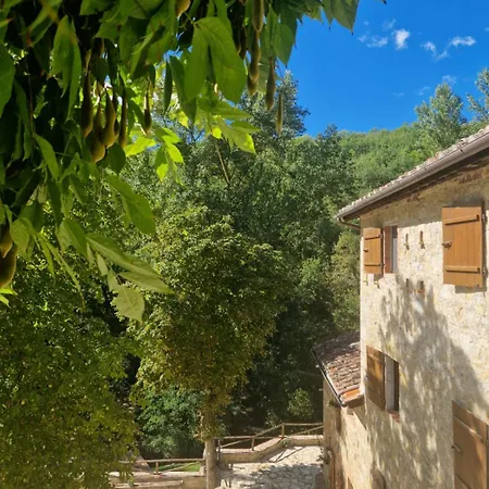 Molino Di Cogno Appartement Castellina in Chianti