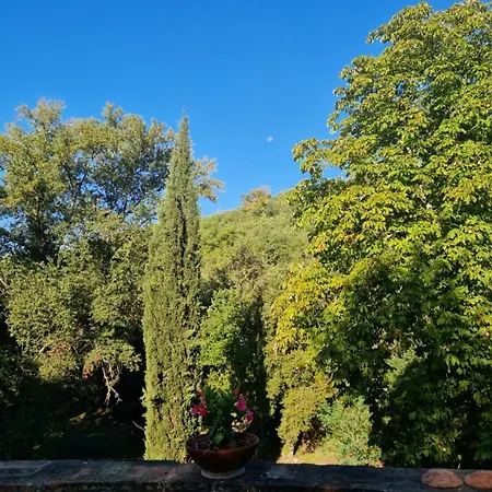 Molino Di Cogno