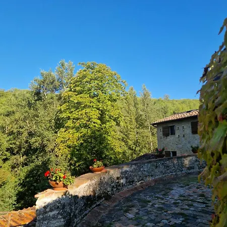 Molino Di Cogno Appartement *