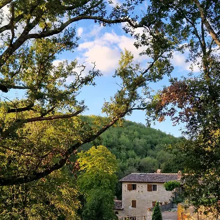 Molino Di Cogno