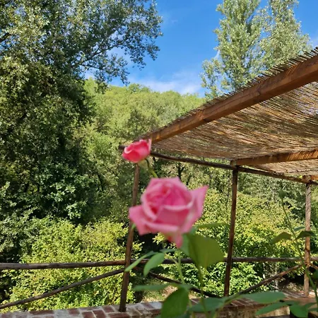 Apartment Molino Di Cogno